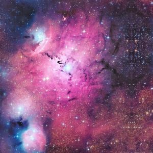 Meet your Posher, Ciara